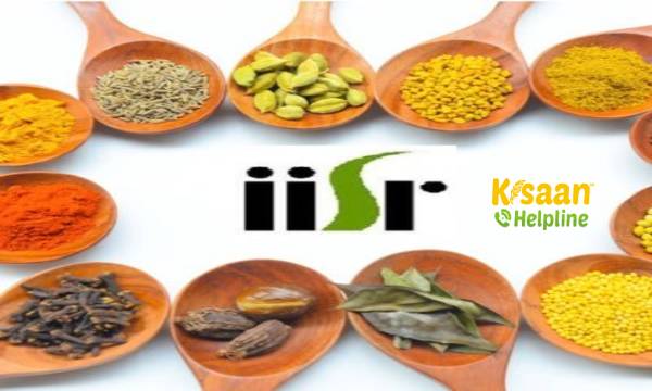 9 फरवरी से शुरू होने वाले मसालों और सुगंधित फसलों पर ऑनलाइन अंतर्राष्ट्रीय संगोष्ठी 9 फरवरी से शुरू होने वाले मसालों और सुगंधित फसलों पर ऑनलाइन अंतर्राष्ट्रीय संगोष्ठी